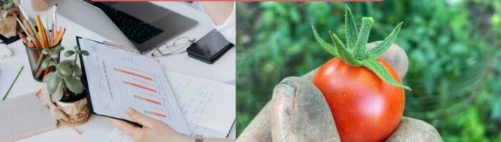 From compliance to regeneration – the REAL opportunity in the EU’s sustainability shift