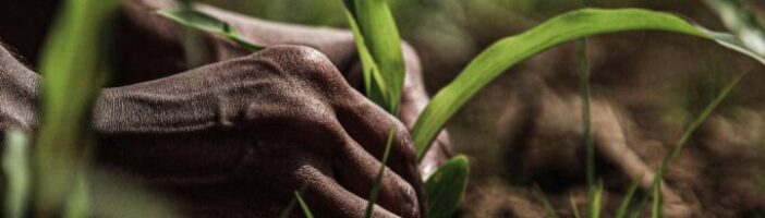 Grow what matters: the sustainability manager’s quiet superpower