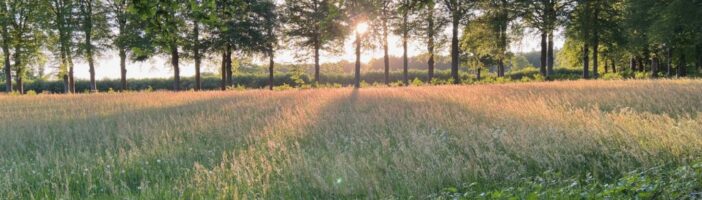 Radical simplification: is the transition really that complex?