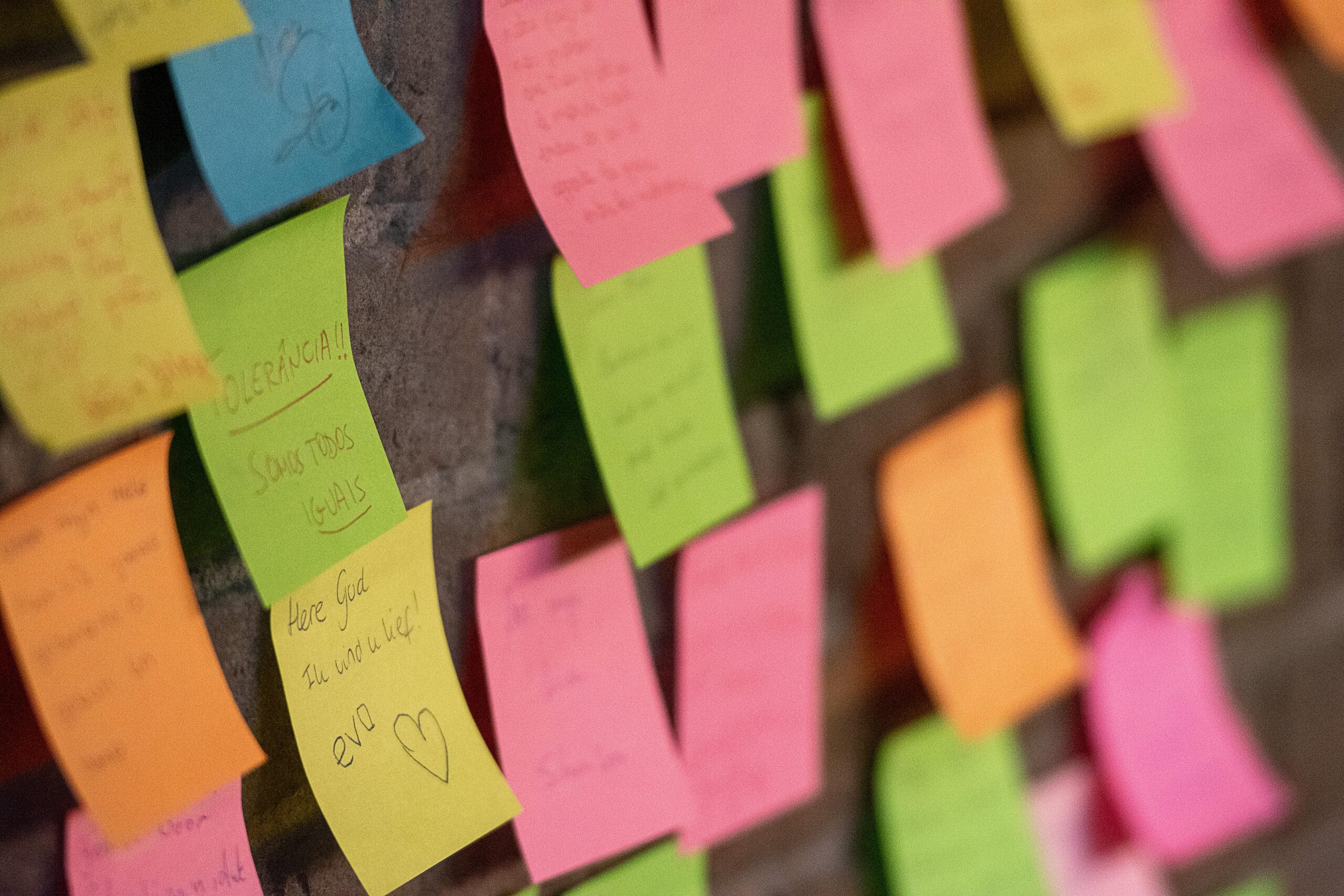 reasons to join a sustainability community