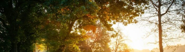 Do you have the courage to lead with vulnerability?