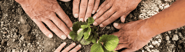 Why Joining a Community for Sustainability Professionals Can Transform Your Career