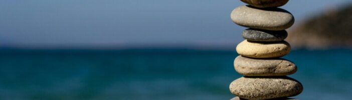 pexels-pixabay-235990 Personal Leadership in Sustainability: How to Lead Without a Title