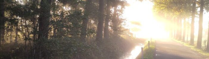 path The art of gratitude for things that didn’t work out