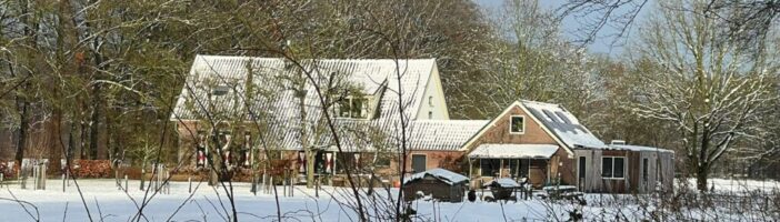 Were you served curiosity for the main course this festive season?