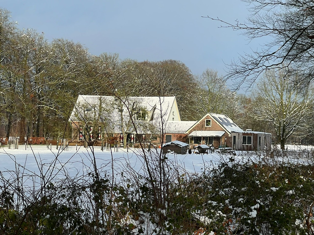 PHOTO-2026-01-12-11-11-26