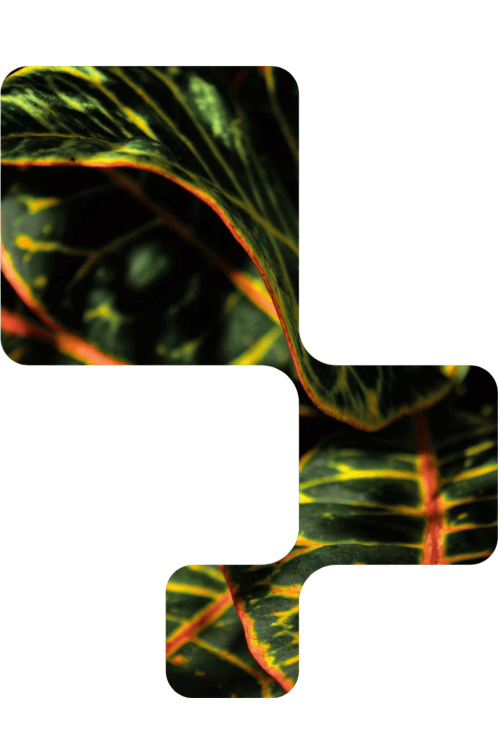 Untitled design-13